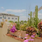 Bed & Breakfast Beb Balena